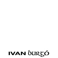 IVAN BURGÓ logo - Similar company to Algorithm