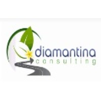Diamantina Arg logo - Similar company to Ideando.Arg