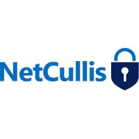 NETCULLIS LIMITED logo - Similar company to Audiosigns Ltd