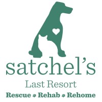 Satchel's Last Resort logo - Similar company to Wear Wag Repeat