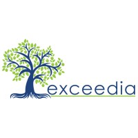 Exceedia Consulting Ltd. logo - Similar company to Exceedia, Llc