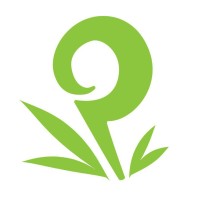 Patopo Studio logo - Similar company to Asa Films