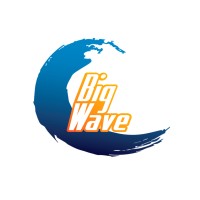 Big Wave Sports logo - Similar company to Tmt 4X4 Accessories