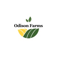 Odison Farms logo - Similar company to Marpesca Group S.R.L.