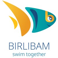 Birlibam logo - Similar company to Inchainz