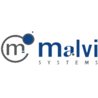 Malvi Systems logo - Similar company to Sancrosoft