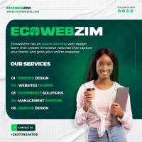 Ecowebzim Solutions logo - Similar company to Brentech Consulting