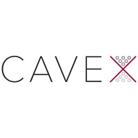 Cavex Ltd. logo - Similar company to Cavex Ltd