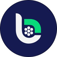Braslifting logo - Similar company to Braslift