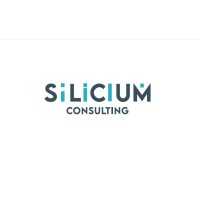 Silicium Consulting GmbH logo - Similar company to Roket4Solutions