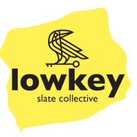 The Lowkey-Slate Collective logo - Similar company to Elevare Collective