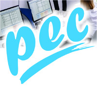 Progressive Expert Consulting logo - Similar company to Cordoniq Inc.