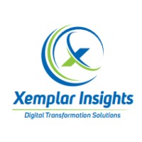 Xemplar Insights logo - Similar company to Prime Technology Group