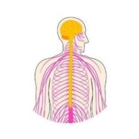 Chronic Fatigue School logo - Similar company to Somia