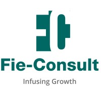 Fie-Consult logo - Similar company to Greenhorn Mentorship Program