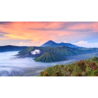 Travel Lovers logo - Similar company to Uae Travel Agents.Com