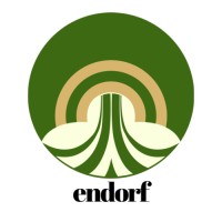 Endorf inc logo - Similar company to My Virtual Model