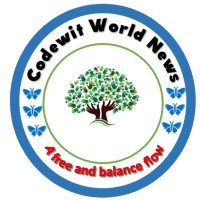 Codewit World News logo - Similar company to Break Concepts