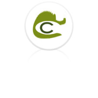 Caiman Communication
