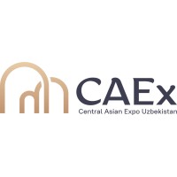 CAEx logo - Similar company to Way Ii Investment Management