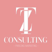 TZ Consulting logo - Similar company to Tz Consulting