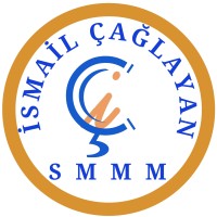 smmm.ismailcaglayan logo - Similar company to Levent Sanli Smmm