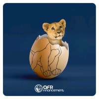 AFR financement Toulouse logo - Similar company to Altigone