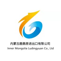 INNER MONGOLIA LUDINGYUAN CO.,LTD logo - Similar company to Shandong Yili-Spring Chemical Industry Co., Ltd.