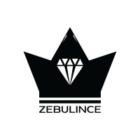 Zebulince logo - Similar company to Envision Rethink