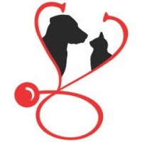 Big Country Veterinary Clinic logo - Similar company to Texas A&M Agrilife Extension Veterinary Science Certificate Program (Vscp)