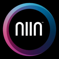 NIIN LLC logo - Similar company to Fully Loaded Chew
