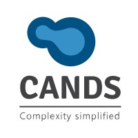 C&S - Consulting and Services logo - Similar company to Cands.