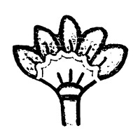 Pixie USA logo - Similar company to Naborino