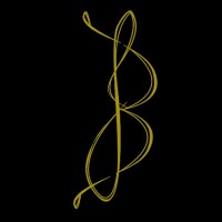Bravi Engenharia logo - Similar company to North Construtora E Incorporadora