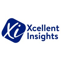 Xcellent Insights logo - Similar company to Zoudo