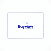 The Bayview Partners logo - Similar company to Widget'S Way