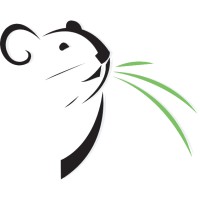 PikaLabs logo - Similar company to Solutions Engine
