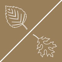 Birch And Oak, Llc