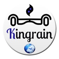 Kingrain International Group - HK logo - Similar company to Odil Sas