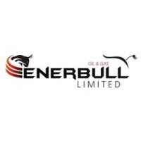 Enerbull Limited logo - Similar company to Sunreality
