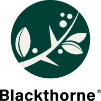 Blackthorne Consulting logo - Similar company to Chris Gomar It Consultants