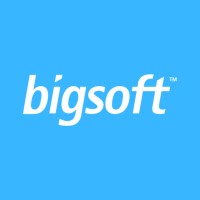 bigsoft X logo - Similar company to Bigsoft Global