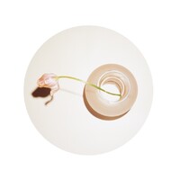 SAMUEL GUÌ YANG logo - Similar company to Yc Studio