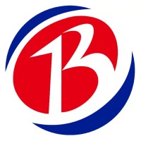 Bitronic Technology Company Limited logo - Similar company to Ordination Dr. Kramer