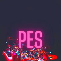 PES Electrical Pvt. Ltd. logo - Similar company to Pes Electrical