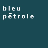 BLEU PETROLE logo - Similar company to Bleupetrole Communication