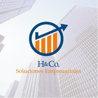 H&Co. Soluciones Empresariales
