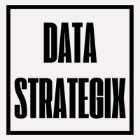 Data Strategix logo - Similar company to Data Appending