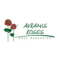 Avramis Roses Co logo - Similar company to Siptec P.C.