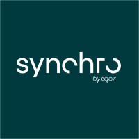 Synchro by egor logo - Similar company to Reditus, Sa